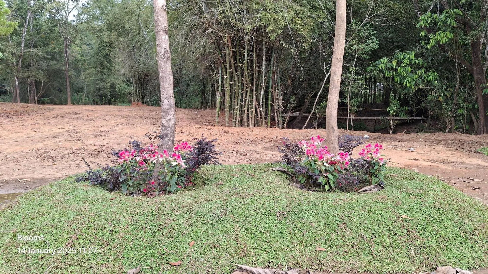 Holiday home Blooms Aquatica Villa Kenichira